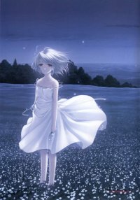 BUY NEW white clarity - 88901 Premium Anime Print Poster